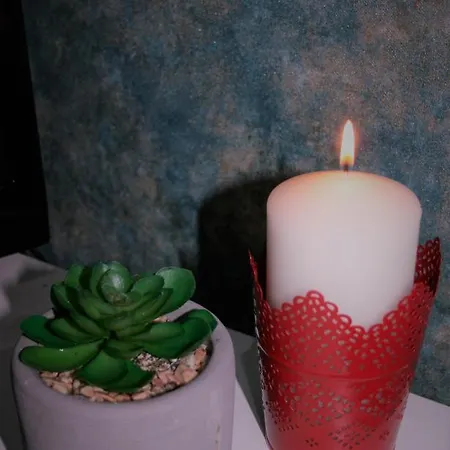 White Rose & Restaurant - 利兹